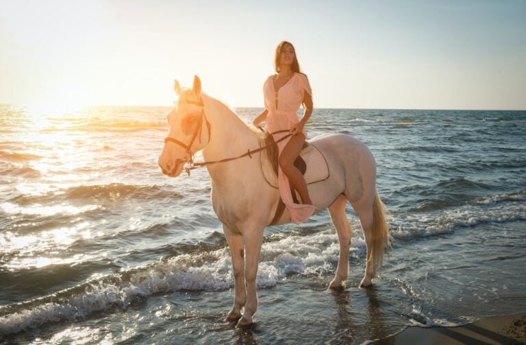 Where Can You Ride Horses on the Beach in NC?
