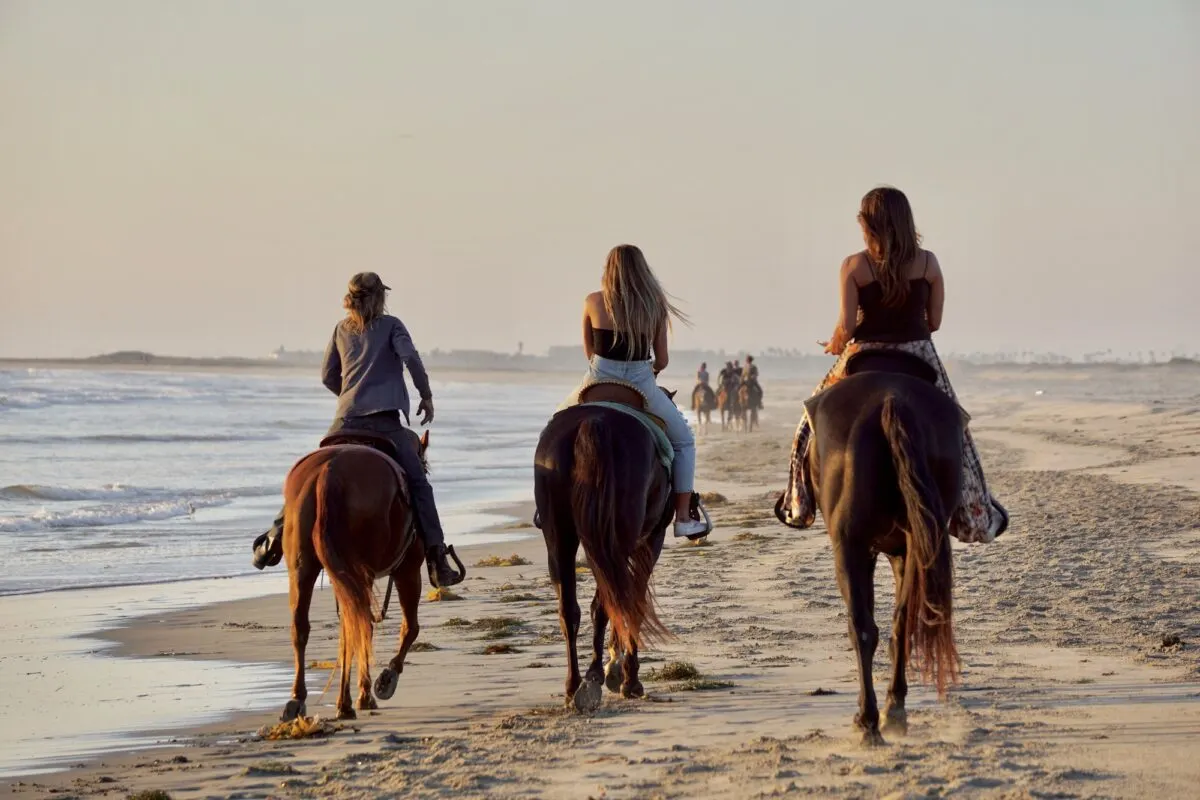 ride horses on the beach