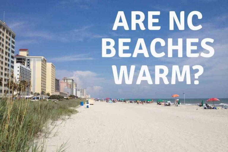 Are North Carolina Beaches Warm?