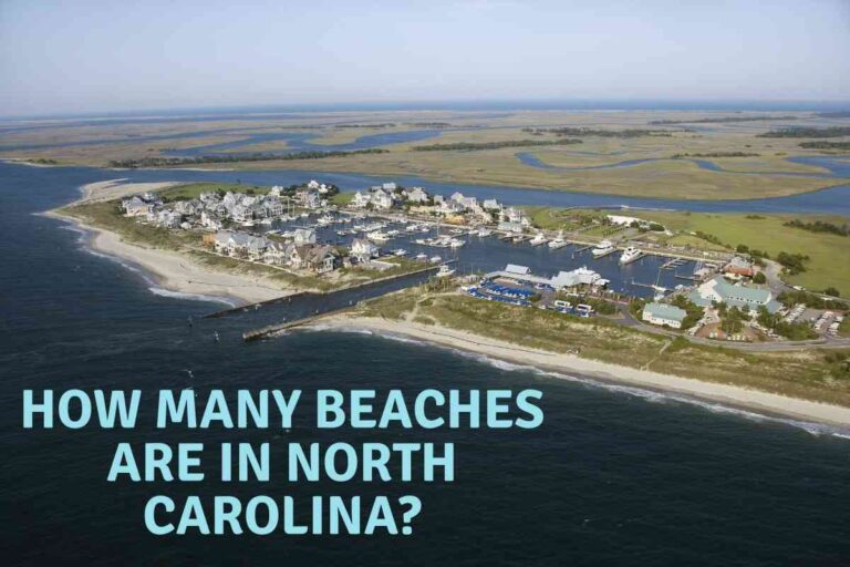 How Many Beaches Are In North Carolina?