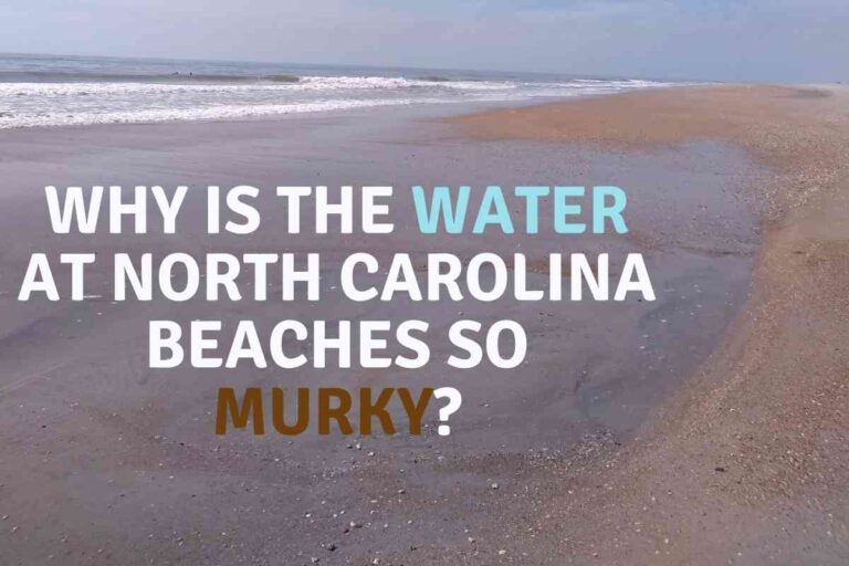 Why Is The Water At North Carolina Beaches So Murky?