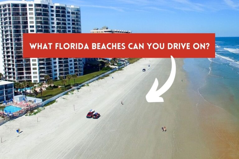What Florida Beaches Can You Drive On? (Not The Private Ones)