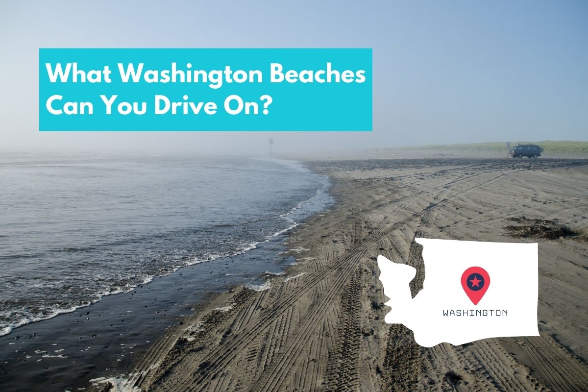 What Washington Beaches Can You Drive On?