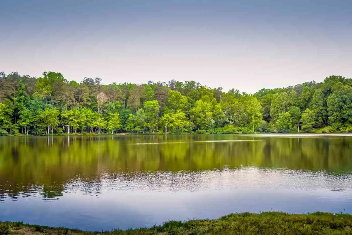 3 Of The Best Campgrounds Within 100 Miles of Raleigh North Carolina 2