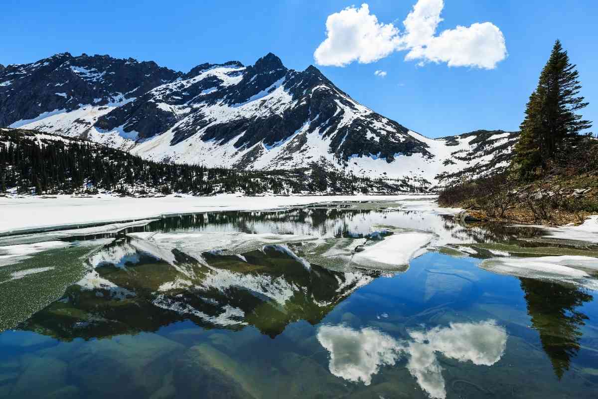 7 Reasons Why Alaska Is Worth Visiting