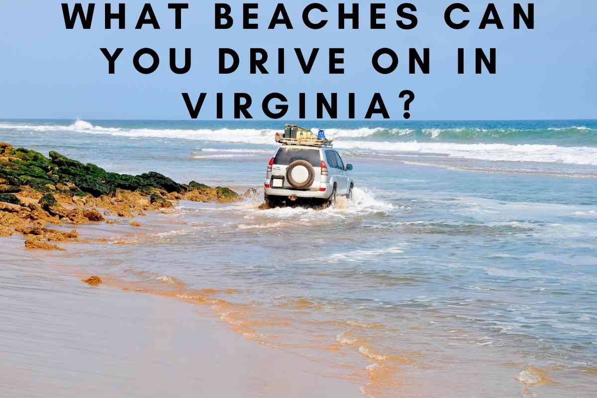 What Beaches Can You Drive On In Virginia