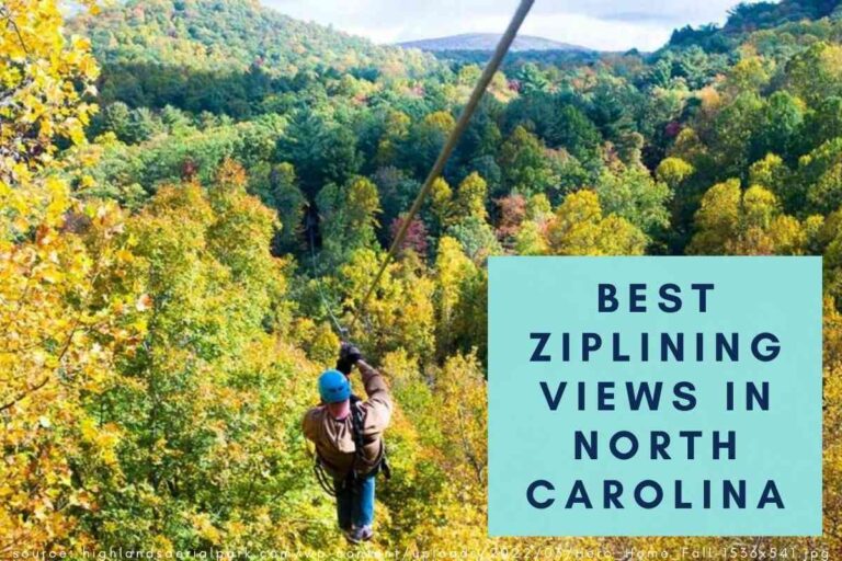 Best Places to Zip Line in North Carolina That Have Amazing Views