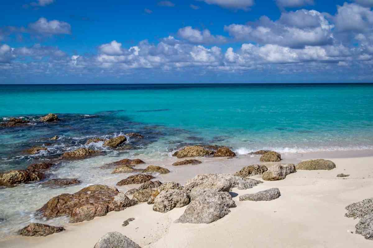 A One Day Cruise To Bimini Bahamas
