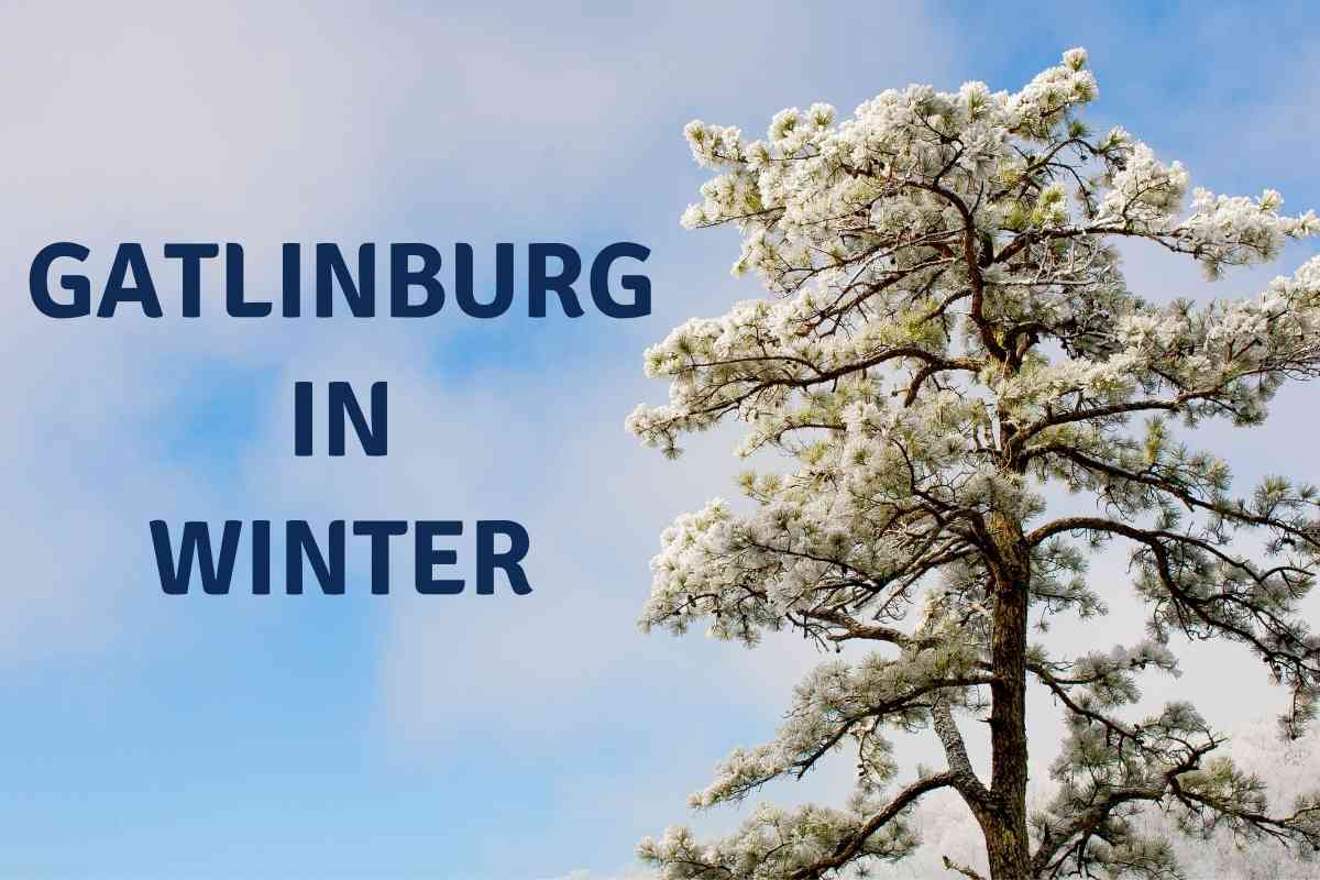 Gatlinburg In Winter 1