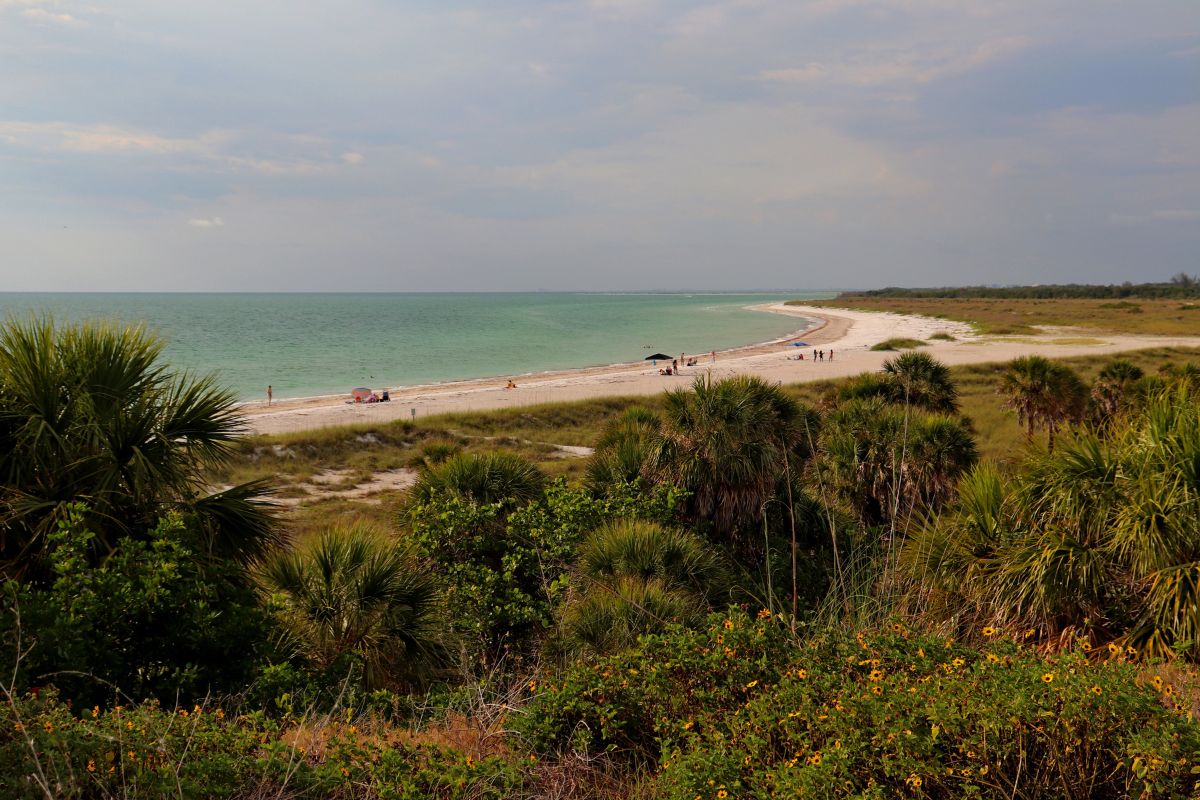 Gulf Coast Beaches That Allow Dogs 4