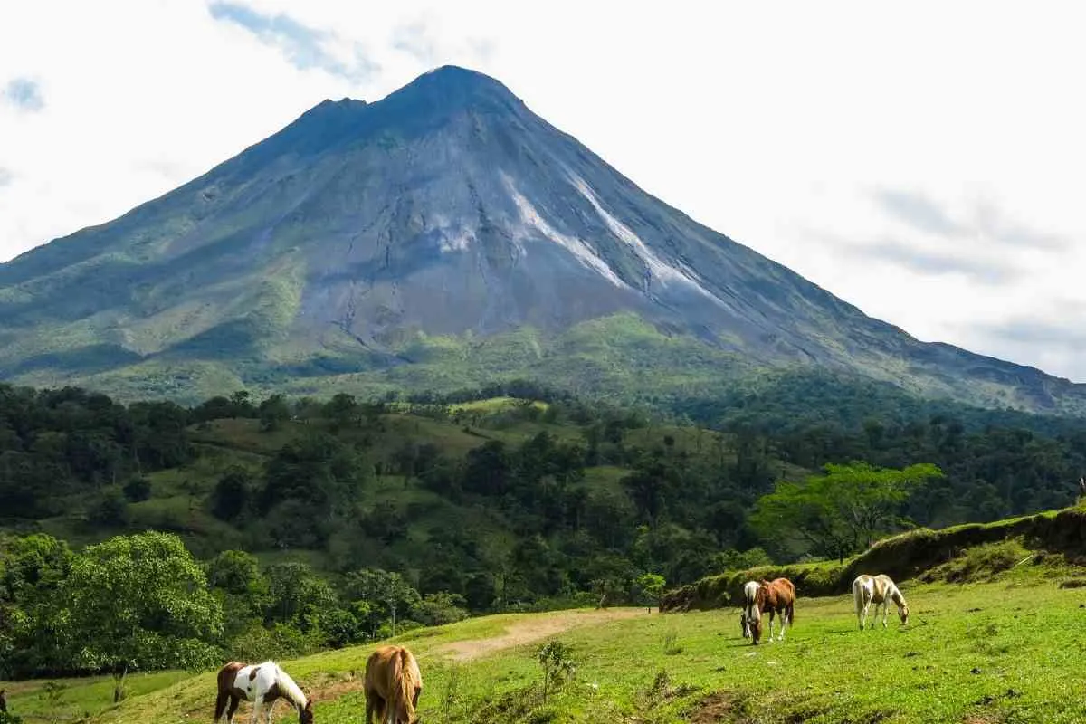 The Ultimate Guide To Your December Trip To Costa Rica 3