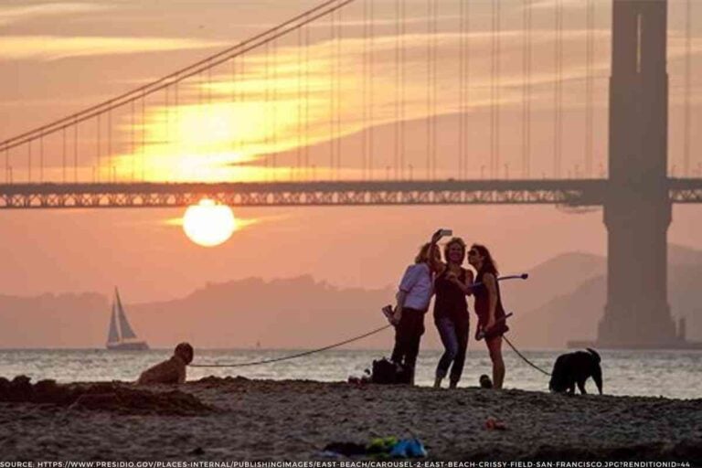 11 Great On And Off Leash Dog Beaches Near San Francisco