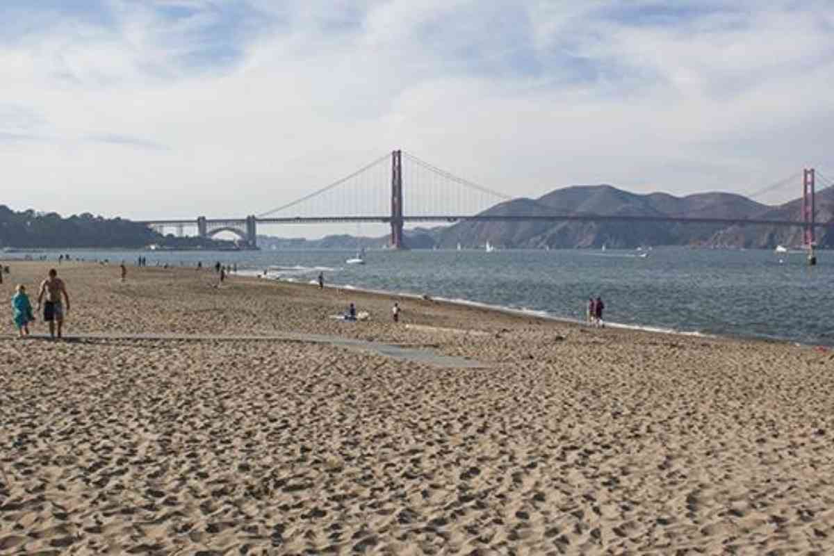 Dog Beaches Near San Francisco 2