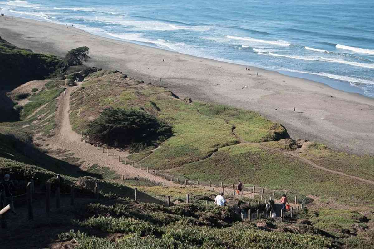 Dog Beaches Near San Francisco 3