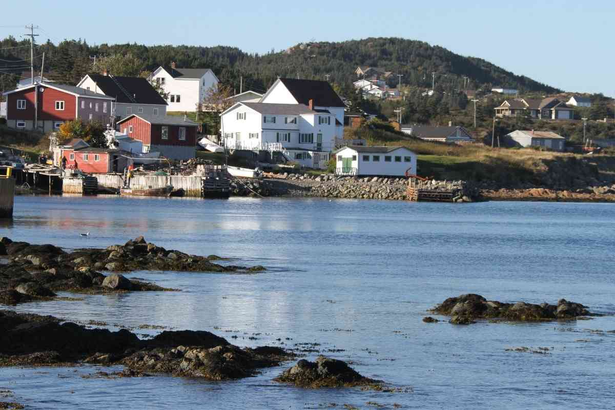 Must Visit Destinations in Newfoundland Canada 5 1
