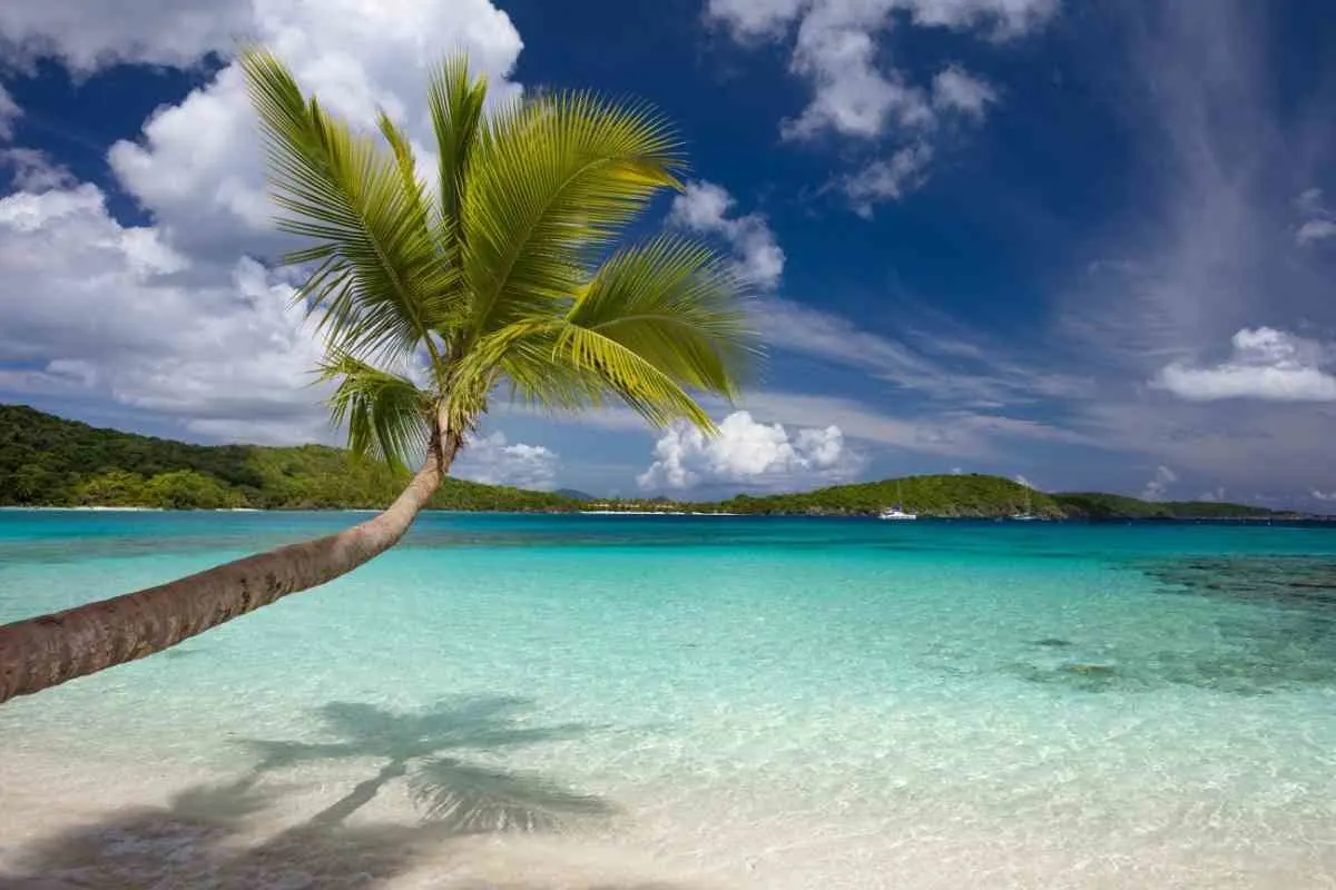 Beaches St. John US Virgin Islands 5