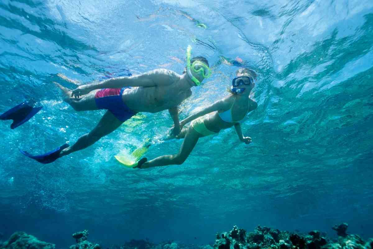 Best Caribbean Resorts For Snorkeling 1