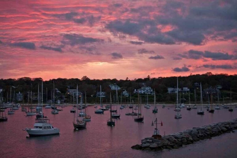 15+ Things To Do On Your Next Day Trip To Martha’s Vineyard