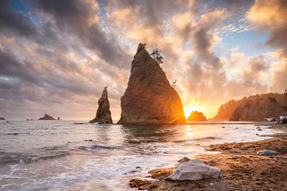 Road Trip Routes In The Pacific Northwest 1 1
