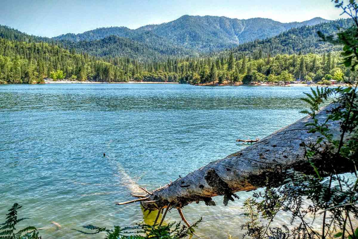 best camping whiskeytown 1