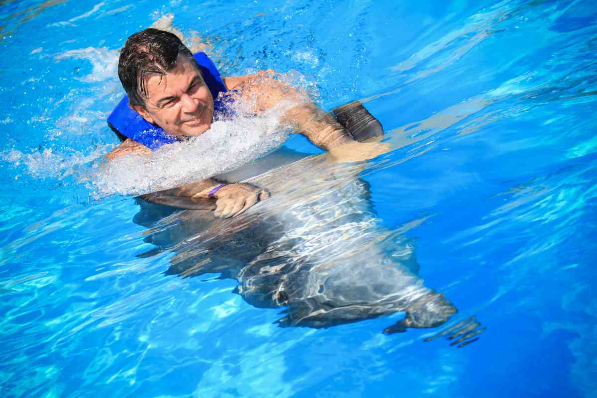 best places to swim with dolphins in Cancun 1