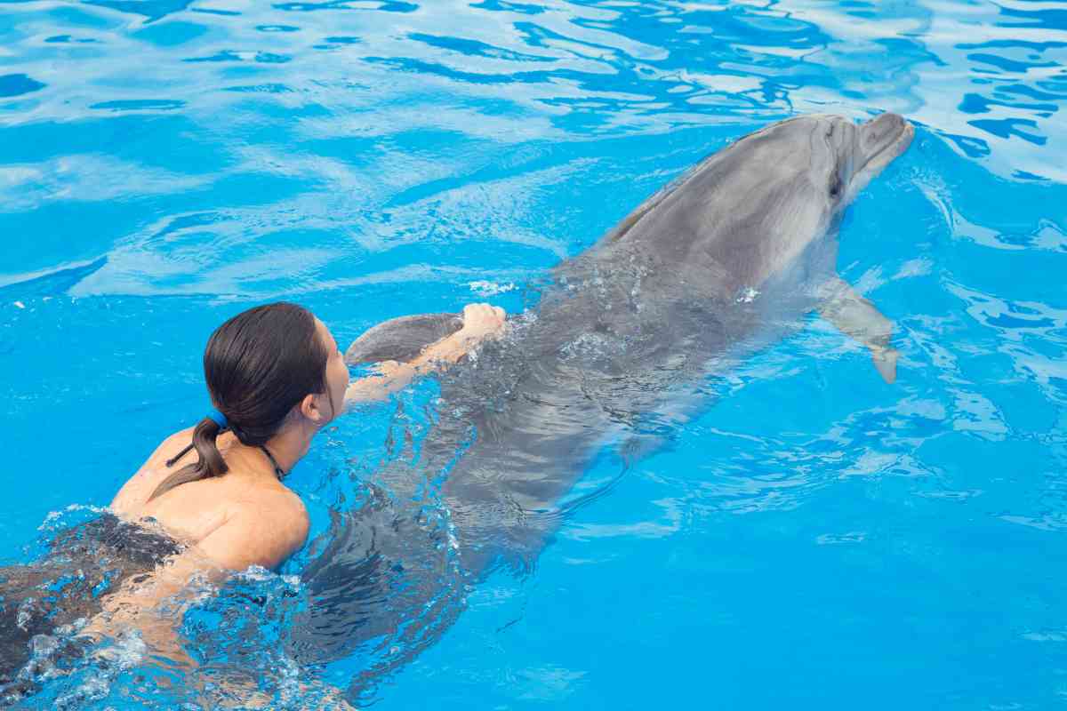 best places to swim with dolphins in Cancun 2