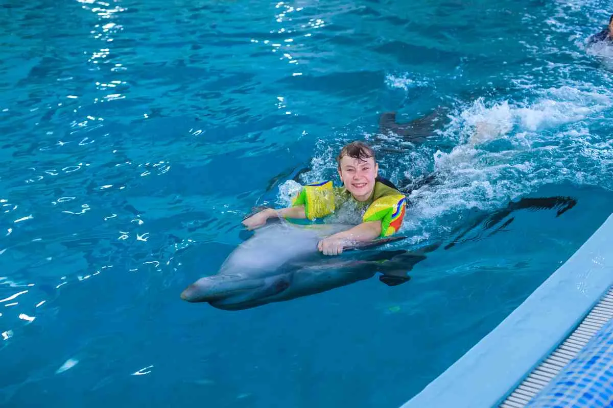 best places to swim with dolphins in Cancun 4
