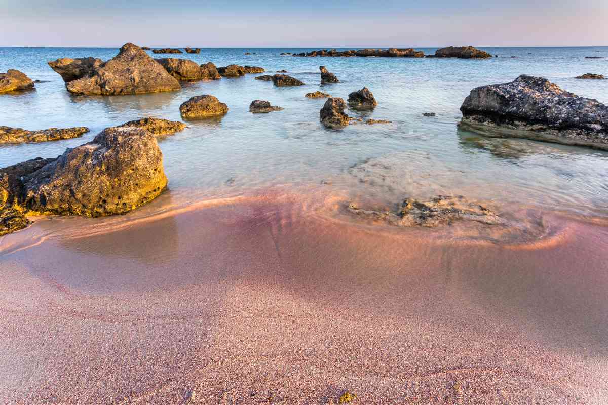 What are the best pink sand beaches in the Caribbean 1 1