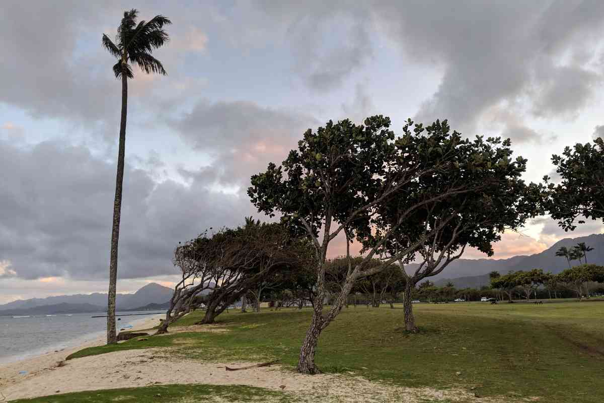 Whats the least crowded beach in Oahu 4