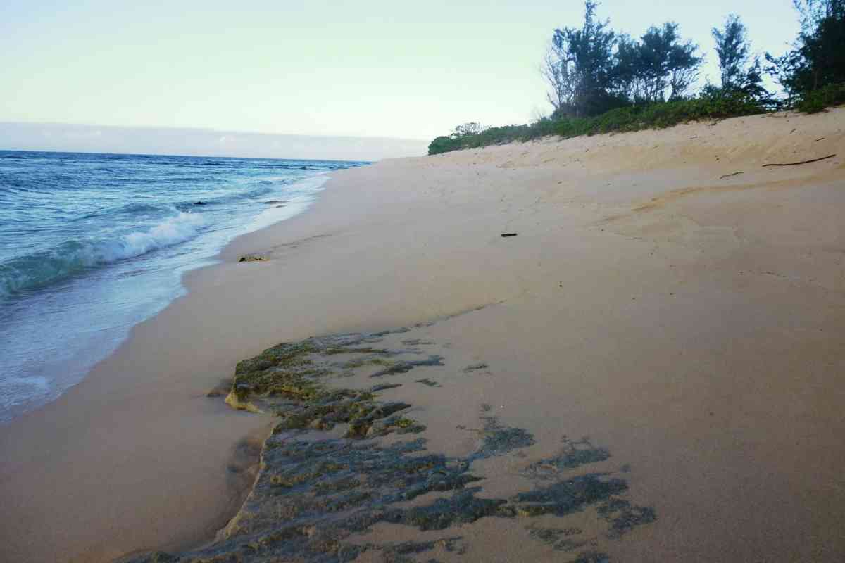 Whats the least crowded beach in Oahu 7