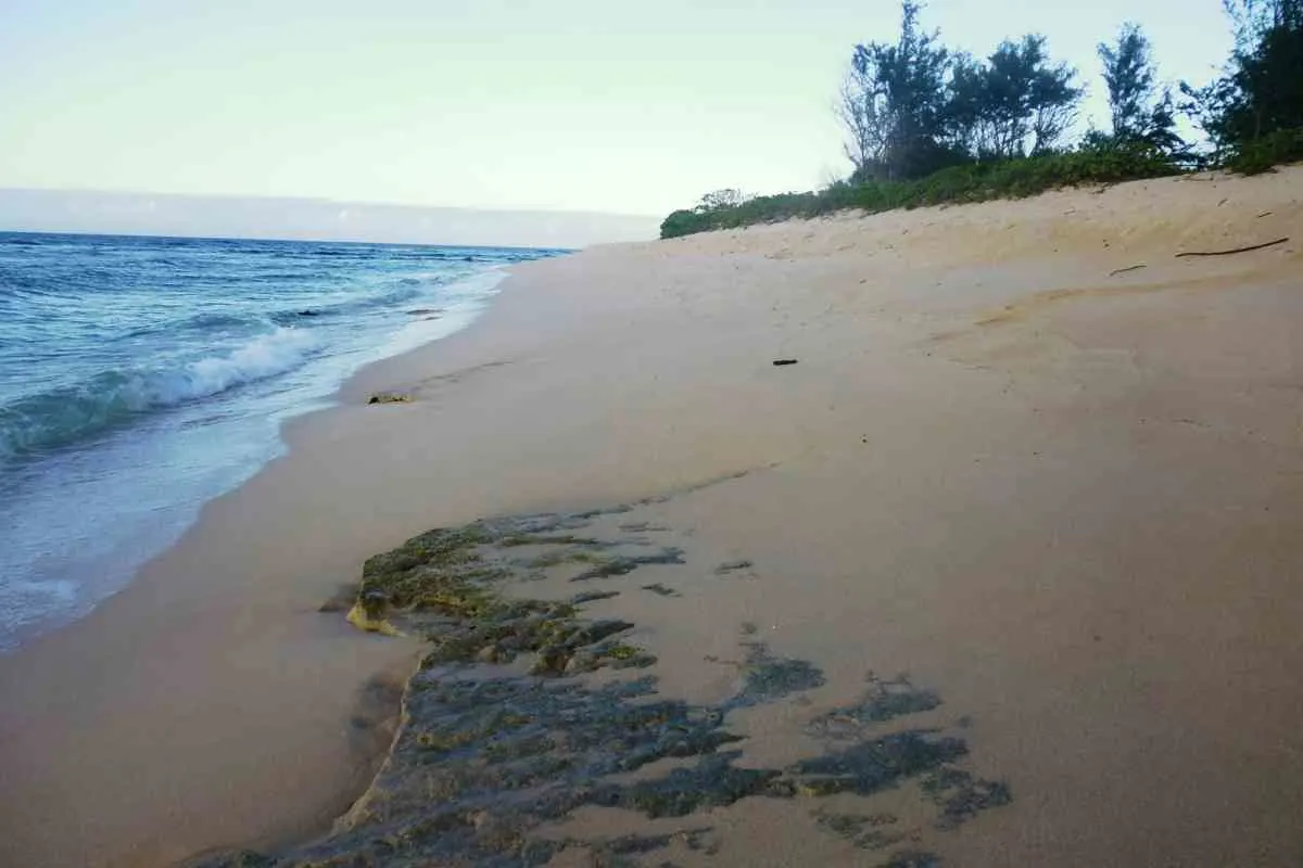 Whats the least crowded beach in Oahu 7