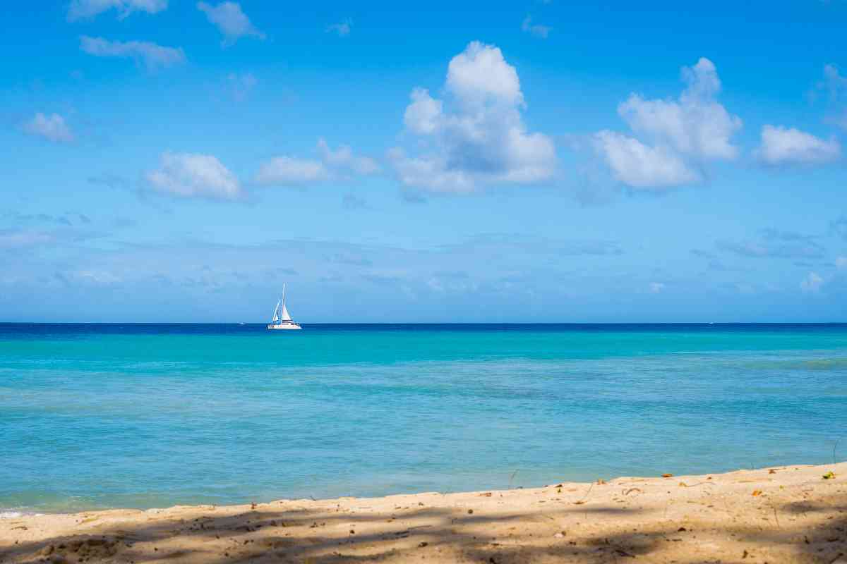 best places to snorkel in Barbados 2
