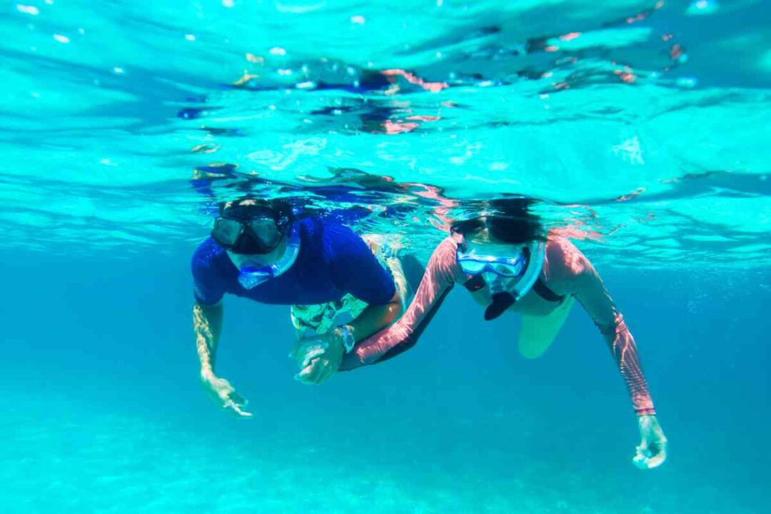 The 6 Best Beaches And Shores For Snorkeling In Barbados Addicted To