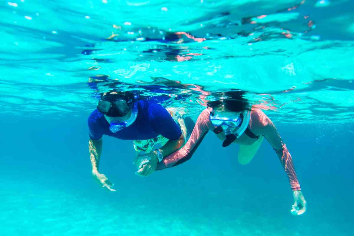 best places to snorkel in Barbados 3