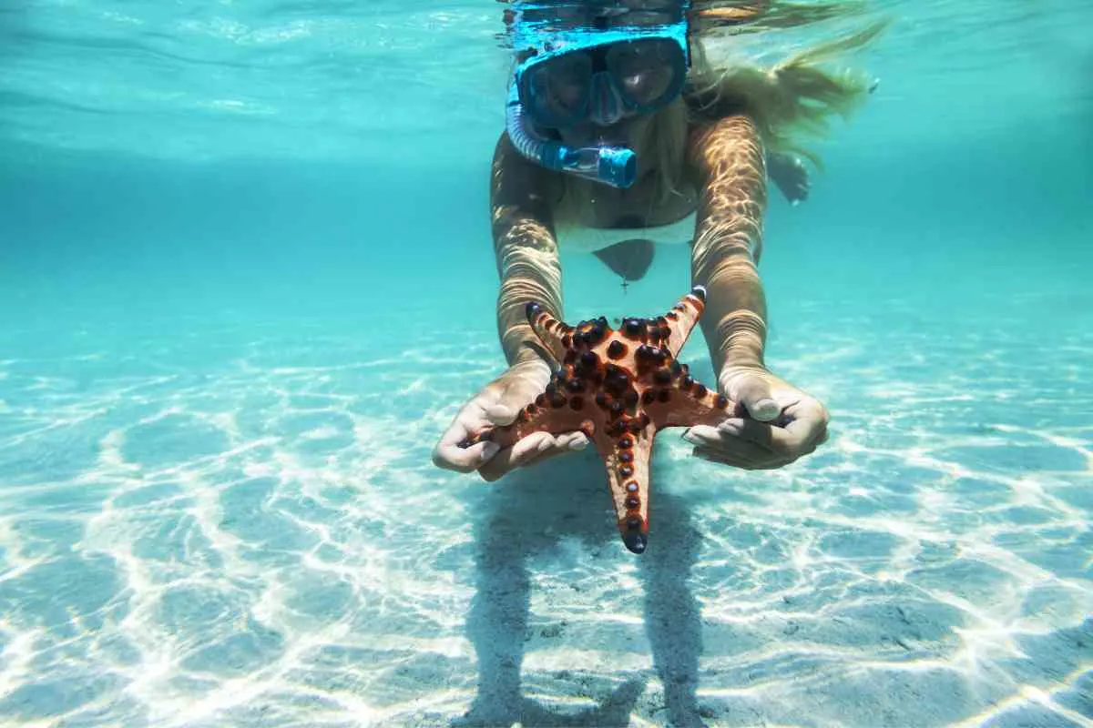 best places to snorkel in Barbados 4