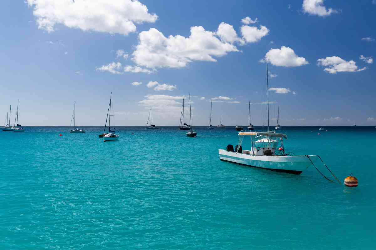 best places to snorkel in Barbados 5