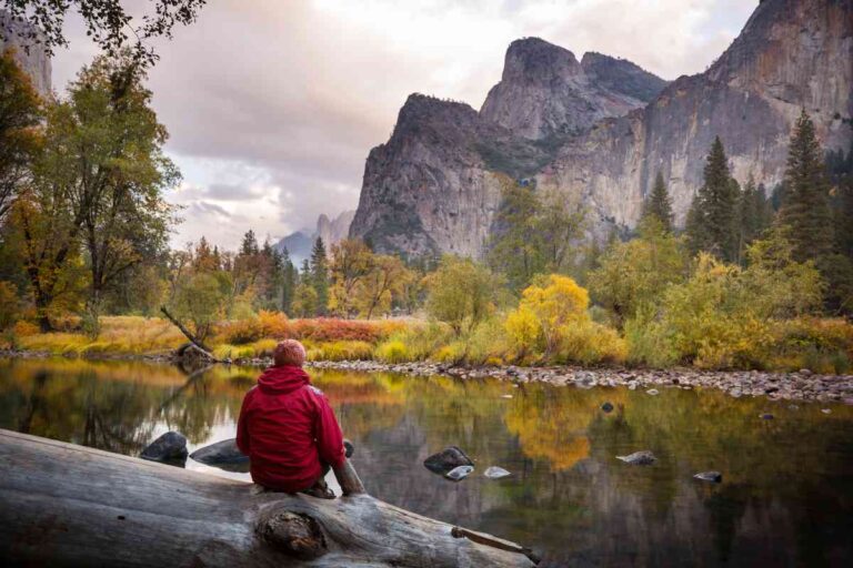 Camping in Yosemite: A Guide to Curry Village Campground