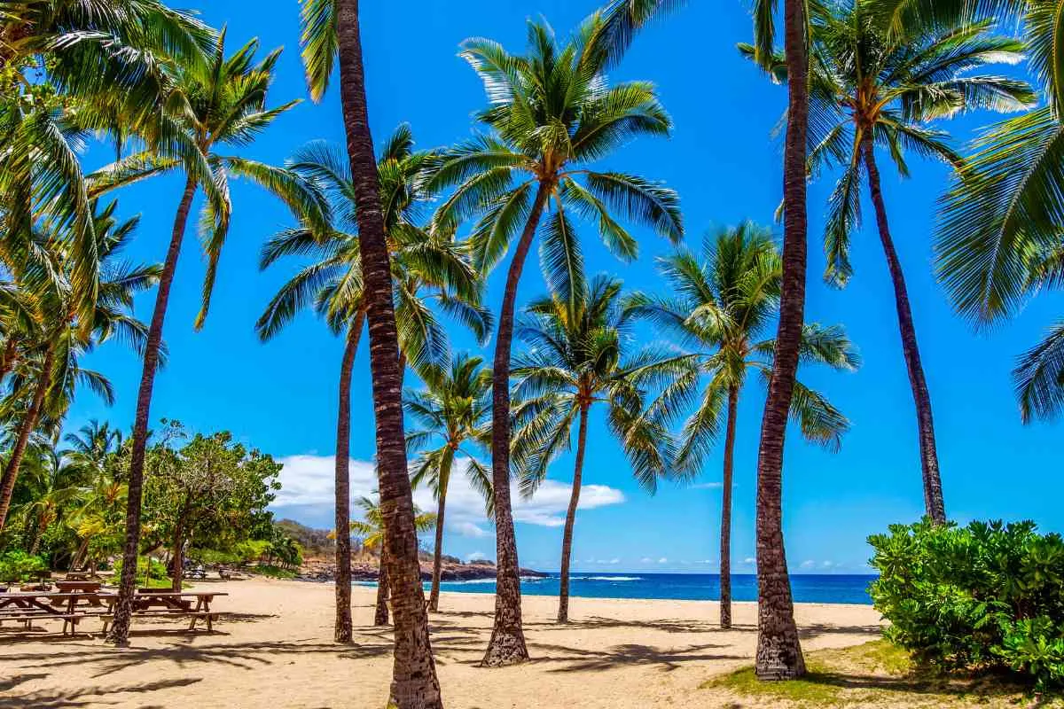 least crowded beaches hawaii 1