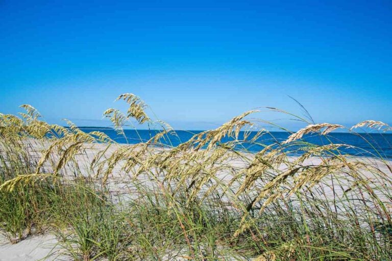 The 5 Least Crowded Beaches In South Carolina