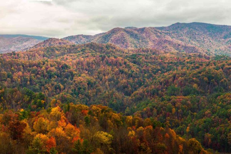 The 9 Best Activities To Do In Tennessee’s Smoky Mountains