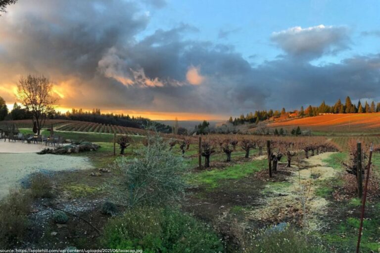 Tahoe’s Vineyards: The 8 Best Wineries in South Lake Tahoe