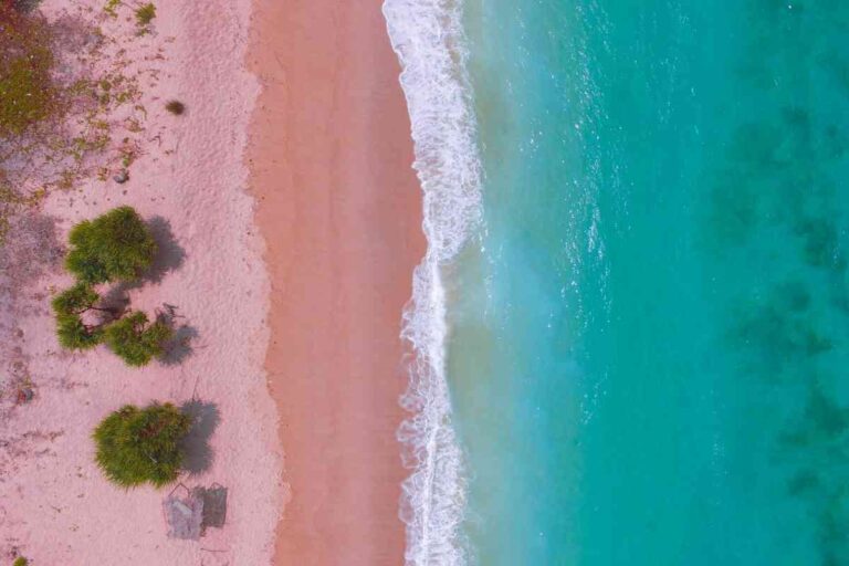 The 8 Best Pink Sand Beaches In The Caribbean