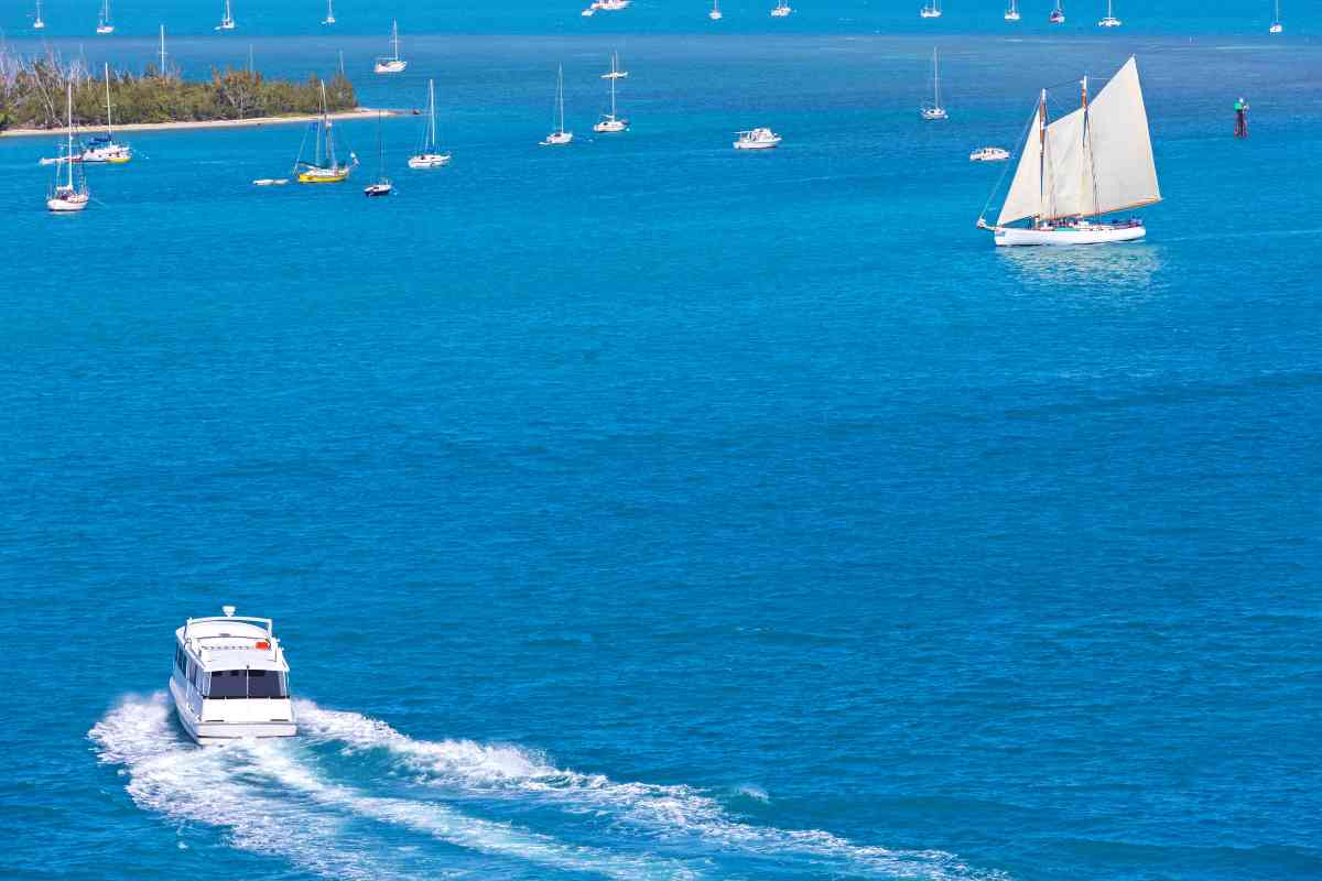 best florida boat tours 1 1