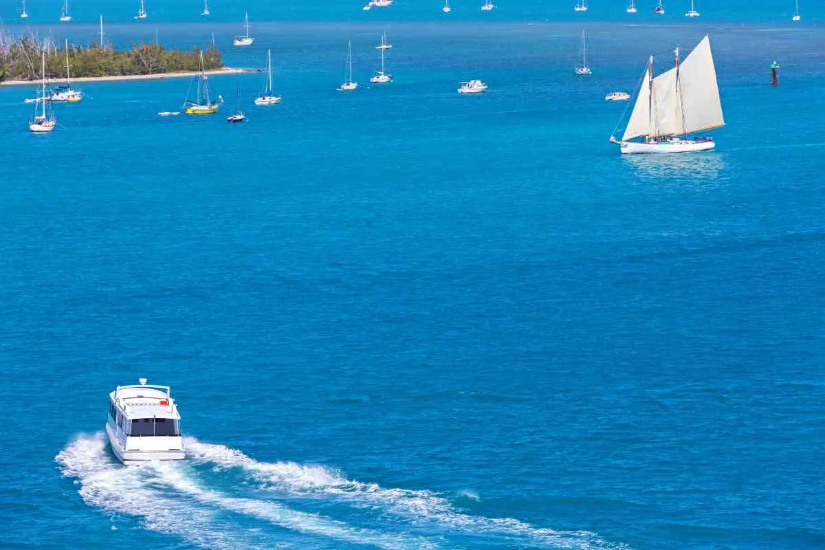 best florida boat tours 1 1