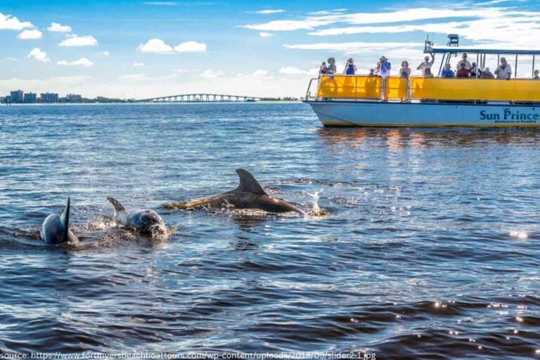 Best Boat Tours in Fort Myers: Explore the Waterways of Southwest Florida