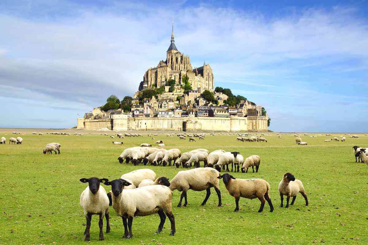 day trips from paris 11