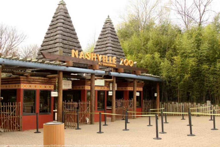 Nashville Zoo: A Family-Friendly Destination for Animal Lovers