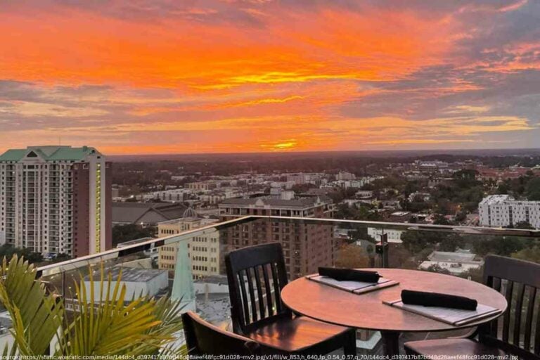 Rooftop Restaurants in Tallahassee: The Best Places to Dine with a View